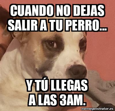 Meme Personalizado Cuando No Dejas Salir A Tu Perro Y T Llegas A