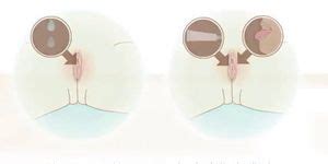 Upload Risk Porn Videos