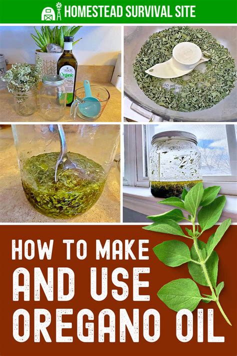 How To Make And Use Oregano Oil