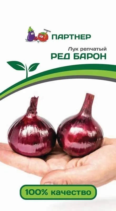 Лук репчатый Ред Барон 0,5 г купить, отзывы, фото, доставка ...