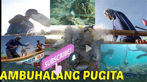 Subscribers Fishing Fish NAKAKAMANGHA PUGITA NAMATAAN SA GILID NG