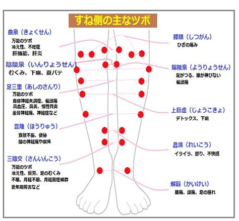 足つぼマッサージ・足裏反射区リフレ効果！ふくらはぎツボ図解一覧 足つぼマッサージ 足つぼ ツボ