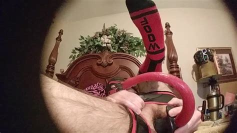 Part 2 4 Pup Zeus Plays With His Tail Pornhub Gay