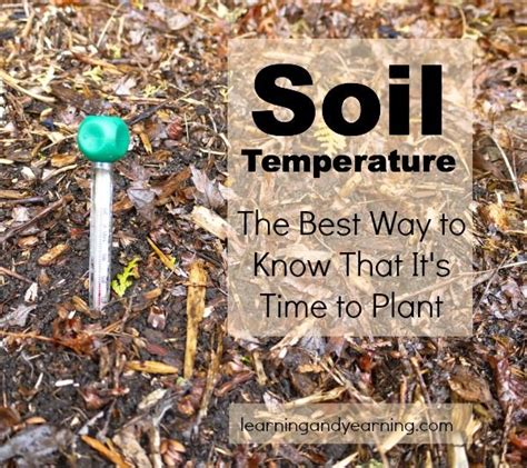 Soil Temperature The Best Way To Know That It S Time To Plant Your