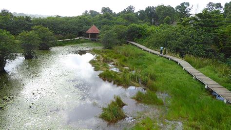 beddagana wetland park fact sheet