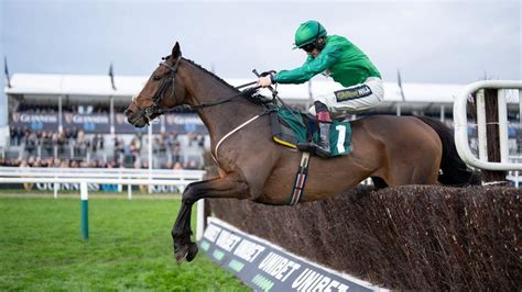 Can Matata justify Champion Chase entry? Analysis and quotes for £ ...