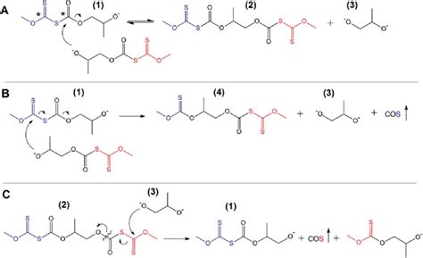 Scheme 2 A And B Interactions Of Two Thiocarbonates Growing Chains