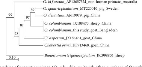 Figure 1 From Morphometrical And Molecular Characterization Of