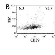 Cd And Cd Expressed On Cd Cd High T Cells The Subset Of Pleural