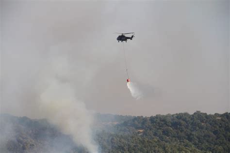 Authorities Step Up Efforts Against Wildfires Amid Heatwave Jordan Times