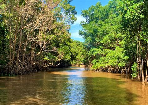 Quanto custa conhecer o Delta do Parnaíba no Piauí Mundo Viajante