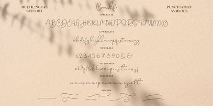 Comilfo Font | Webfont & Desktop | MyFonts