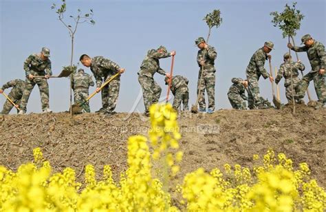 江苏海安：植树添新绿 人民图片网