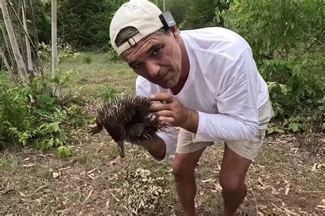 El animal más raro del mundo que sorprende incluso a Frank Cuesta