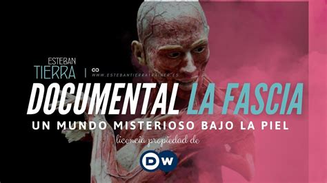 La Fascia Un Mundo Misterioso Bajo La Piel Dw Youtube