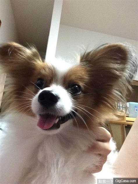 Ch N D I Da Tr Ng M T Xinh N Ng Hot Girl M I V N Kh Ng C B N Trai Ch V S Th Ch Nu I Th