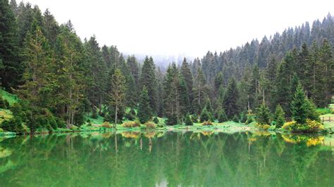 Kayaba I Yayla Enl Kler Al Ma Arasi