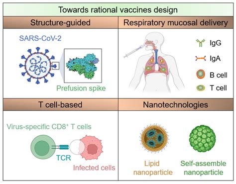 Bioengineering Free Full Text Advanced Vaccine Design Strategies