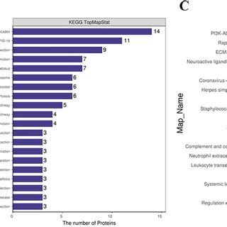Proteomics analysis of differentially expressed proteins. A. Histogram ... 