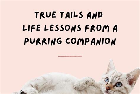 Cats True Tails And Life Lessons From A Furry Companion By Pamela