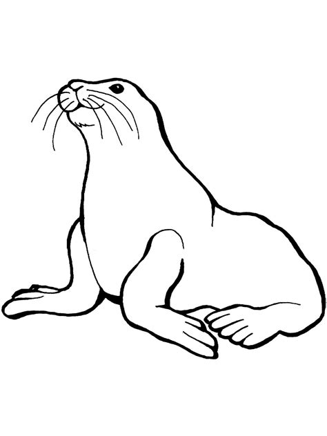 Steller Sea Lions Coloring Page