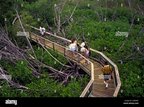 Tourists Visiting Las Cabezas De San Juan Nature Reserve Las Cabezas