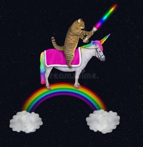 De Kat Berijdt Een Eenhoorn Op Regenboog 2 Stock Afbeelding Image Of