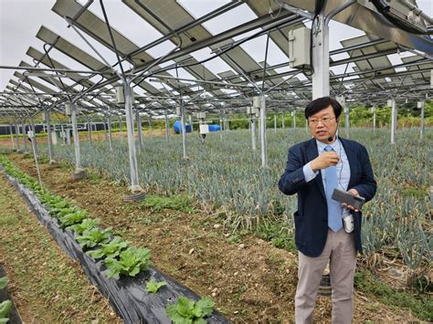 “농가 살리고 Re100 달성까지”영농형 태양광이 설계하는 新경제 모델 비즈360 프린트화면