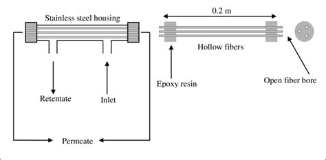 5: Schematic diagram of hollow fiber membrane module and housing ...