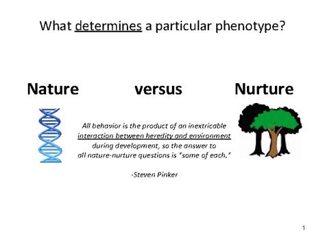 What Determines A Particular Phenotype Nature Versus Nurture