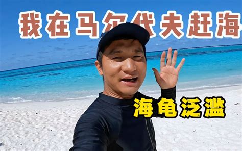 《环球探海记》马尔代夫 第32天：新岛新发现，海龟随处可见！ Ok哥环球探海记 Ok哥环球探海记 哔哩哔哩视频