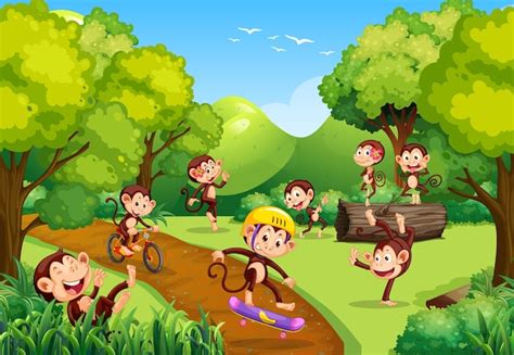 Premium Vector Forest Scene With Monkeys Doing Different Activities