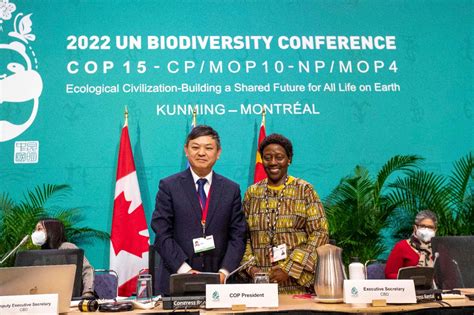 Puntos Clave Sobre El Acuerdo Global De Biodiversidad De La Cop