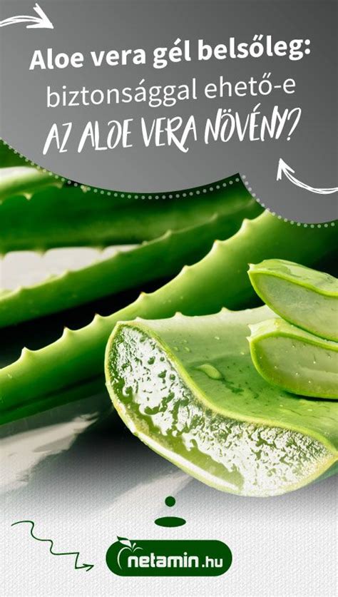 Aloe vera gél belsőleg –biztonsággal ehető-e az aloe vera növény ...