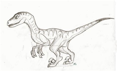 Raptor (Rough Sketch) by SocksTheMutt on DeviantArt