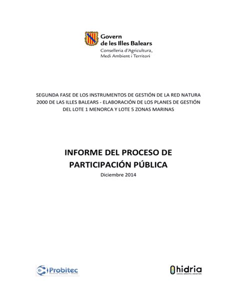 Informe Del Proceso De Participaci N P Blica