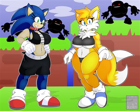 Sonic n Tails by MKLANCER00 on Newgrounds