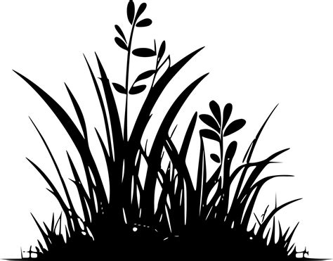 Grass Black And White Isolated Icon Vector Illustration 23619497