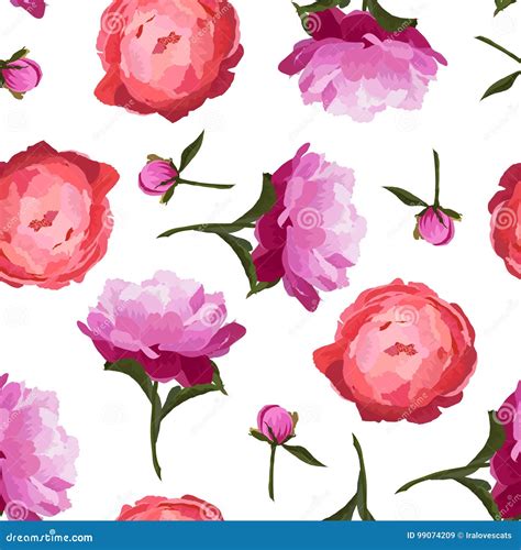 Vector Illustration Of Colorful Peonies Flowers Seamless Pattern Stock Illustration