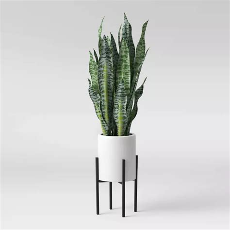 36 X 10 Artificial Snake Plant In Standing Planter White Project 62