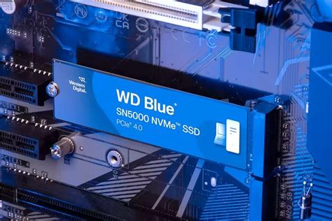 Western Digital Launches Enhanced Budget Friendly WD Blue SN5000 SSDs