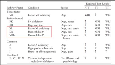 Lec 5 Hematology Pt 5 Flashcards Quizlet