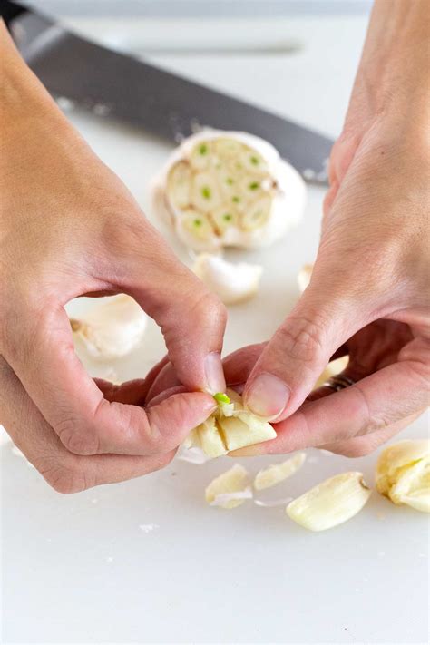 how to plant sprouted garlic 4