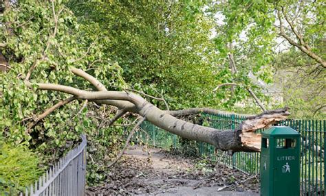 Why Roof Inspections Are Vital After Storm Arwen | Wakefield Roofs