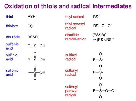 Ppt The Biological Chemistry Of Thiols Powerpoint Presentation Free