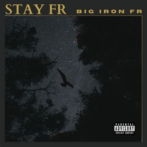 Stream I Never Gave A Fuck By Big Iron FR Listen Online For Free On SoundCloud