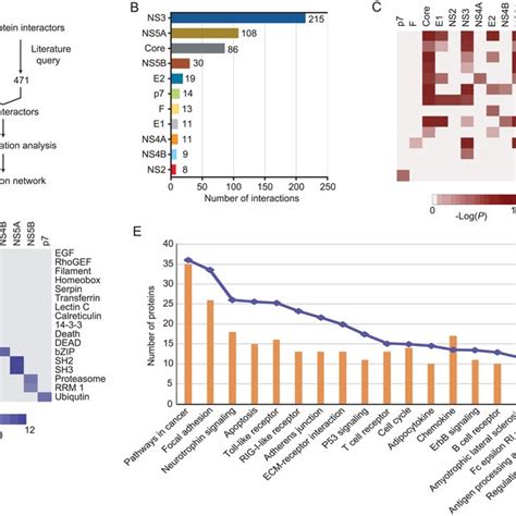 Network Analysis Of The Relationship Between HCC And HCV The HCV HCC