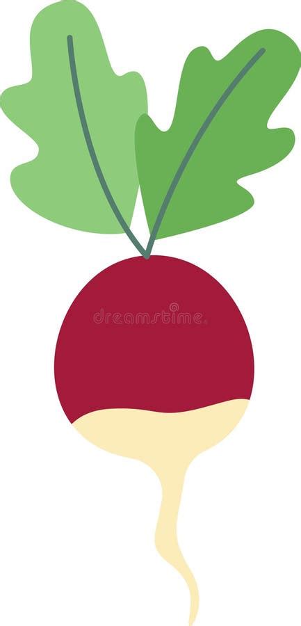 Radish Vegetable Icon Stock Vector Illustration Of Vegetarian