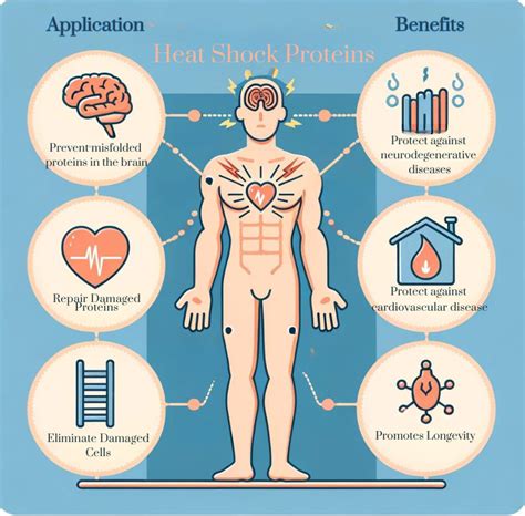 Unlocking Wellness Sauna Use And Heat Shock Proteins