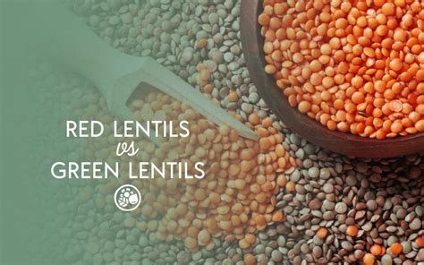 Red Lentils VS Green Lentils | A Complete Comparison